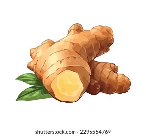 Fresh ginger root, a healthy cooking ingredient icon isolated