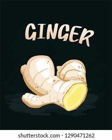 Fresh ginger root  isolated on dark background. Vector illustration.