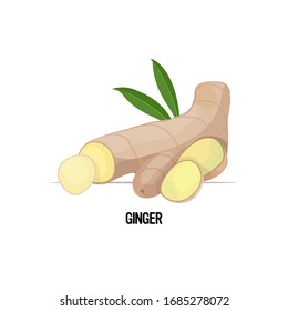 raíz fresca de jengibre con ícono aislado en fondo blanco concepto de alimentos sanos ilustración vectorial