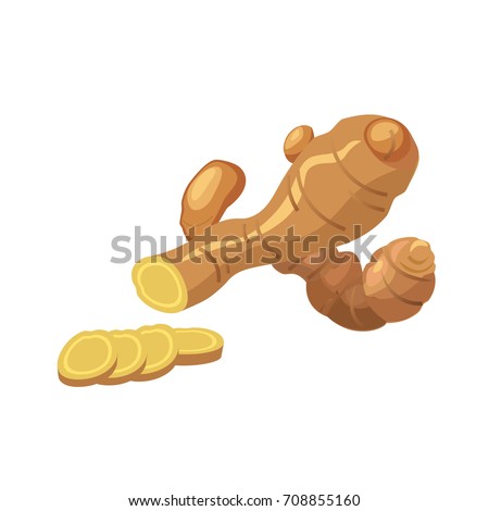 Fresh ginger root on white background. Vector illustration