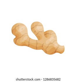 Fresh ginger root. Organic and healthy food. Cooking ingredient. Natural product. Detailed flat vector icon