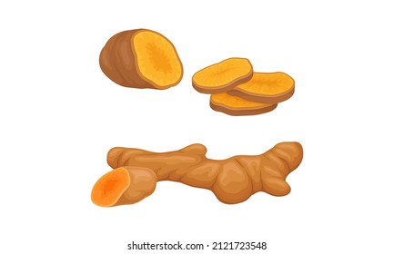 Fresh ginger root with slices, aromatic spice set. Natural organic food vector illustration