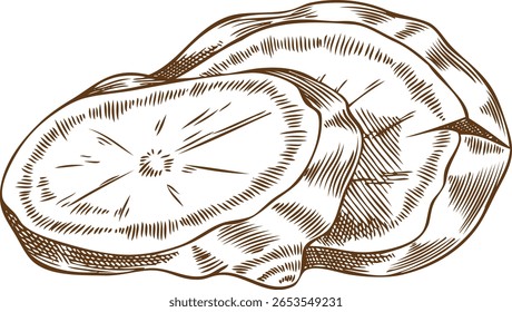 Fresh ginger root slices engraved sketch vector icon. Hand drawn aromatic spice. Mulled wine ingredient. Organic medicinal fragrant herb, aromatherapy plant. Cooking seasoning. Natural condiment