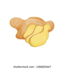 Fresh ginger root with slices. Natural and healthy food. Cooking ingredient. Organic product. Flat vector design