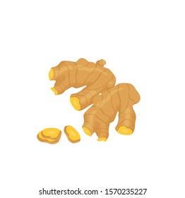 fresh ginger root vector illustration