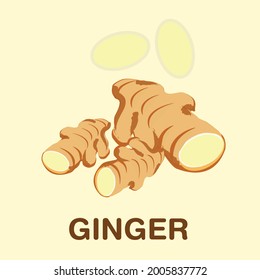 Fresh ginger roots. Vector illustration. Ginger logo. Isolated ginger.  Set of fresh ginger roots. Vegan food vector icons in a trendy cartoon style. Healthy food concept. 