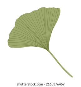 5,178 Simple Ginkgo Images, Stock Photos & Vectors 