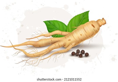 Frische Ginseng-Wurzel-Vektorgrafik mit schwarzem Pfeffersamen einzeln auf weißem Hintergrund