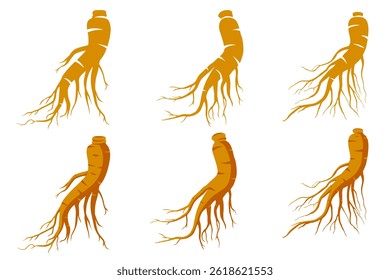 Fresh Ginseng root vector illustration isolated on white background.Vector eps 10.