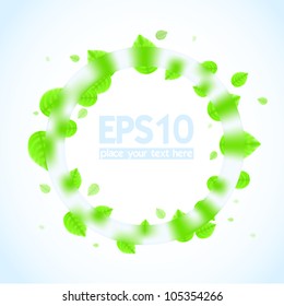 Fresh glass and mint background