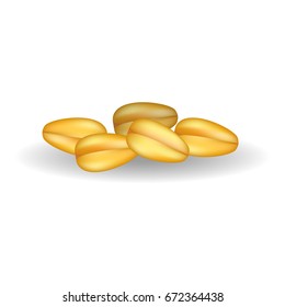 Fresh golden corn grains isolated vector illustration on white background. Ingredient for cooking healthy organic porridge and flour.