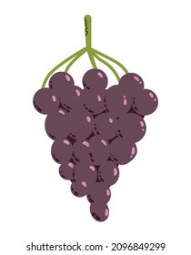 Uva fresca en forma de doodle. Ilustración vectorial dibujada a mano sobre fondo blanco.