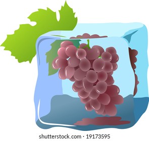 Fresh grape frozen in ice