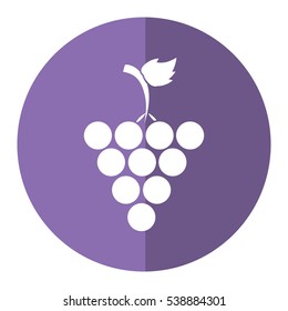 fresh grape fruit purple circle shadow