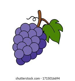 fresh grape fruit vector illustration design with green leaf