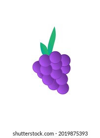 Fresh grape fruit with white background vector illustration, digital design, isolated
