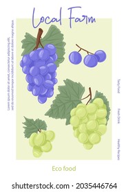 Fresh grape juice packaging design. Wine grapes, table grapes vector hand drawn card concept. Berries on branch with leaves. Grapes vine with stem and leaf. Juicy summer fruits for local farm.