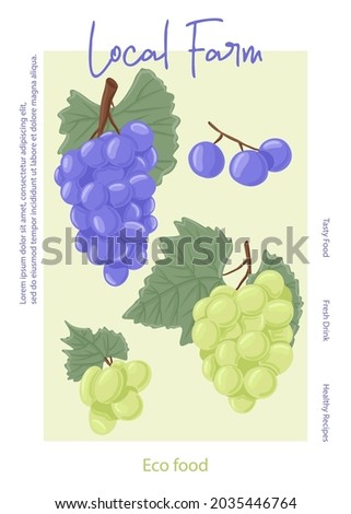 Fresh grape juice packaging design. Wine grapes, table grapes vector hand drawn card concept. Berries on branch with leaves. Grapes vine with stem and leaf. Juicy summer fruits for local farm.
