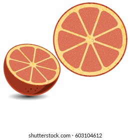 Fresh grapefruit, collection of vector illustration