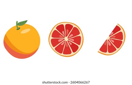 Fresh grapefruit or red orange set. Whole grapefruit with leaves, grapefruits slices and half of cut fruit. Organic fruits for juice or vitamin C healthy food. Vector illustration isolated.