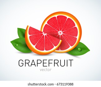 Fresh grapefruit slice with leaves isolated on white background. Vector illustration for decorative poster, emblem natural product, farmers market. Perfect for packaging design of cosmetics and food.