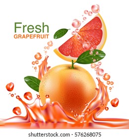 fresh grapefruit vector 