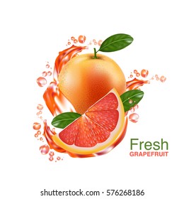 fresh grapefruit vector 