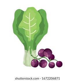 fresh grapes with chard vegetables isolated icon vector illustration design