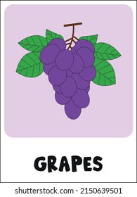 Fresh Grapes Flashcard Vector Illustration Stock Vector (Royalty Free ...