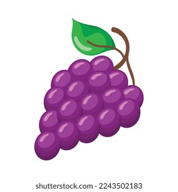 fresh grapes fruit healthy icon