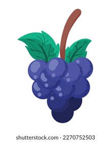 fresh grapes fruit healthy icon