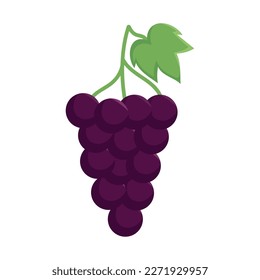 fresh grapes fruit healthy icon