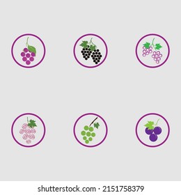 fresh grapes with green leaves set  logo vector illustration design