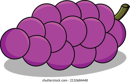 fresh grapes, an illustration of grapes for children's book, simple vector.