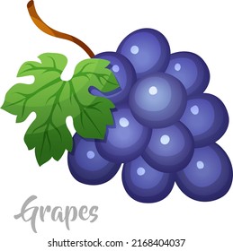 Fresh Grapes with Leaf Vector Art