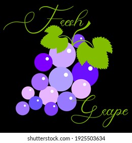 fresh grapes logo made from lettering and grape brush