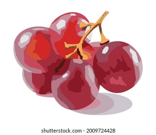 uvas frescas en el vector de fondo blanco