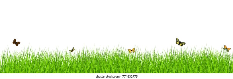 Fresh grass green with flowers and butterflies flying around. The length and density to use as vector design elements.