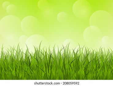 Fresh grass on green background