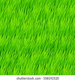 Fresh Grass Seamless. Beautiful Fresh Lawn Grass Texture for Design Idea