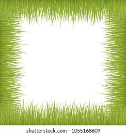 Fresh grass vector frame on white background. 