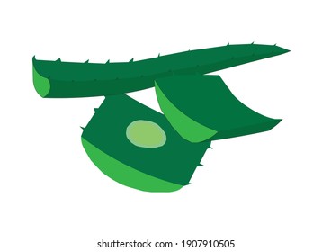 Fresh green Aloe Vera cut into pieces, placed on a white background