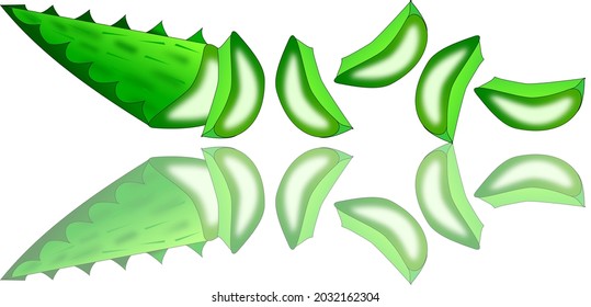Fresh green aloe vera with reflection, clear gel texture, for skin care, herbs.