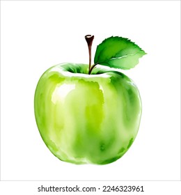 Fresh Green Apple Fruit with Leaf Isolated Beautiful Watercolor Painting Illustration Vector