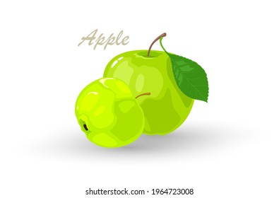 Fresh green apple and segment of it. Pomaceous fruit using for cooking jellies, jams, juice, candies, pies, cider, cakes. Cartoon vector icon isolated on white background. Healthy, vegetarian snack.