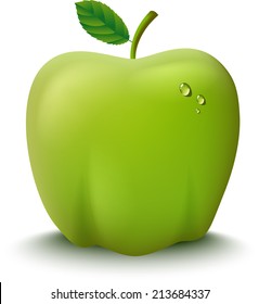 Fresh Green Apple Vector Illustration
