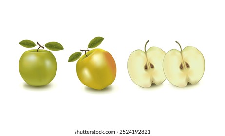 Fresh Green Apples: Vector Design