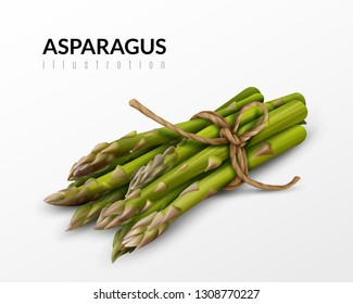 Fresh green asparagus bunch tied with brown string farm market healthy food realistic closeup image vector illustration