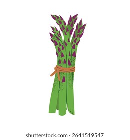 Fresh green asparagus bundle. Hand drawn spring vegetable in flat style. Organic healthy food. Vector illustration isolated on white background.