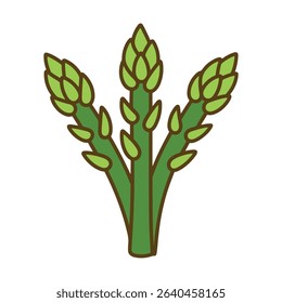 Fresh green asparagus illustration three stalks